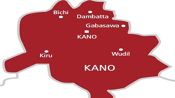 Group offers free medical services to over 2,000 Kano residents