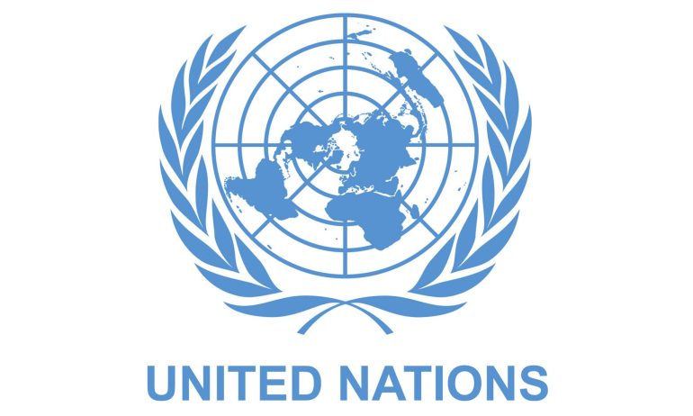 Two Nigerians get UN posthumous peacekeeping award