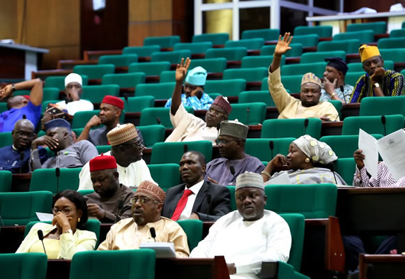 UPDATED: Reps back subsidy removal, urge patience with Tinubu