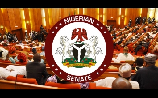 #ENDSARS: Senate passes bill to compensate victims