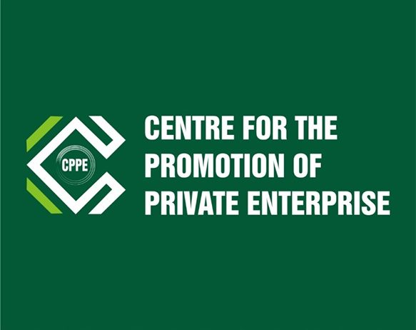 CPPE Boss Seeks Tax Waivers On Renewable Energy Equipment 