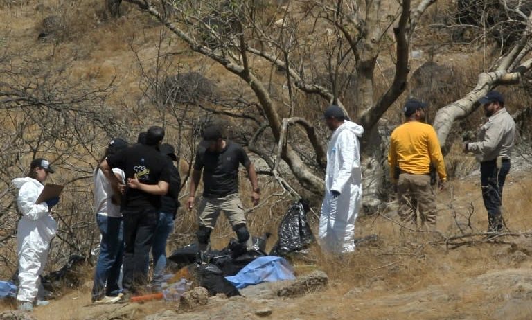 Mexico Police find 45 bags containing human body parts