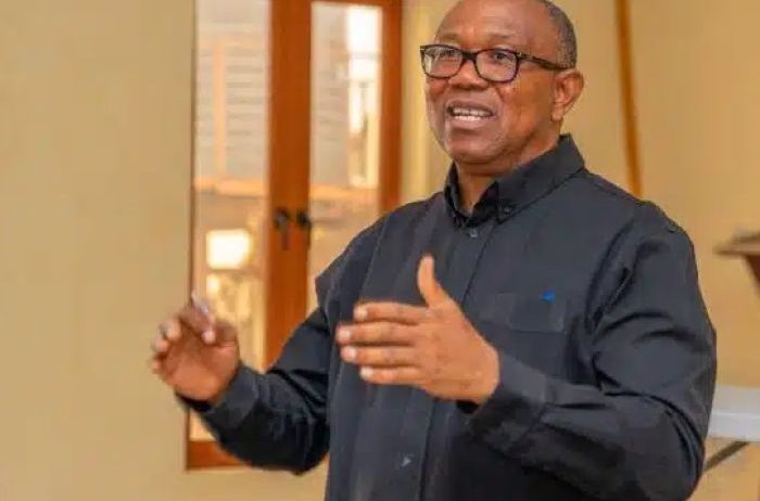 June 12: Nigeria’s democracy deeply troubled, says Obi