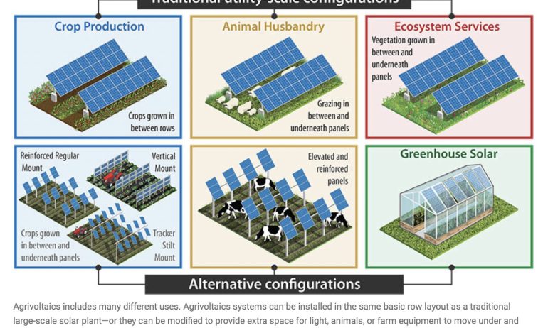 Scaling clean energy by and for Black farmers in Florida