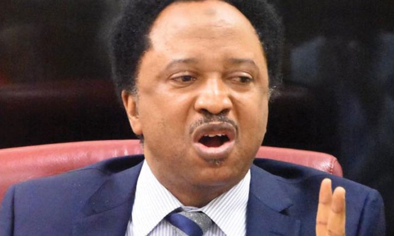 Sit-at-Home: Share N50k palliatives every Monday – Shehu Sani proffers solution